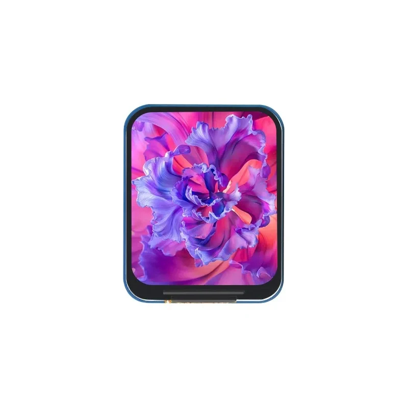 Módulo LCD IPS de 1,69 polegad - Pi Display avaliação e preço